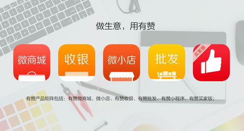 企業(yè)店鋪的最終選擇 有贊代運營